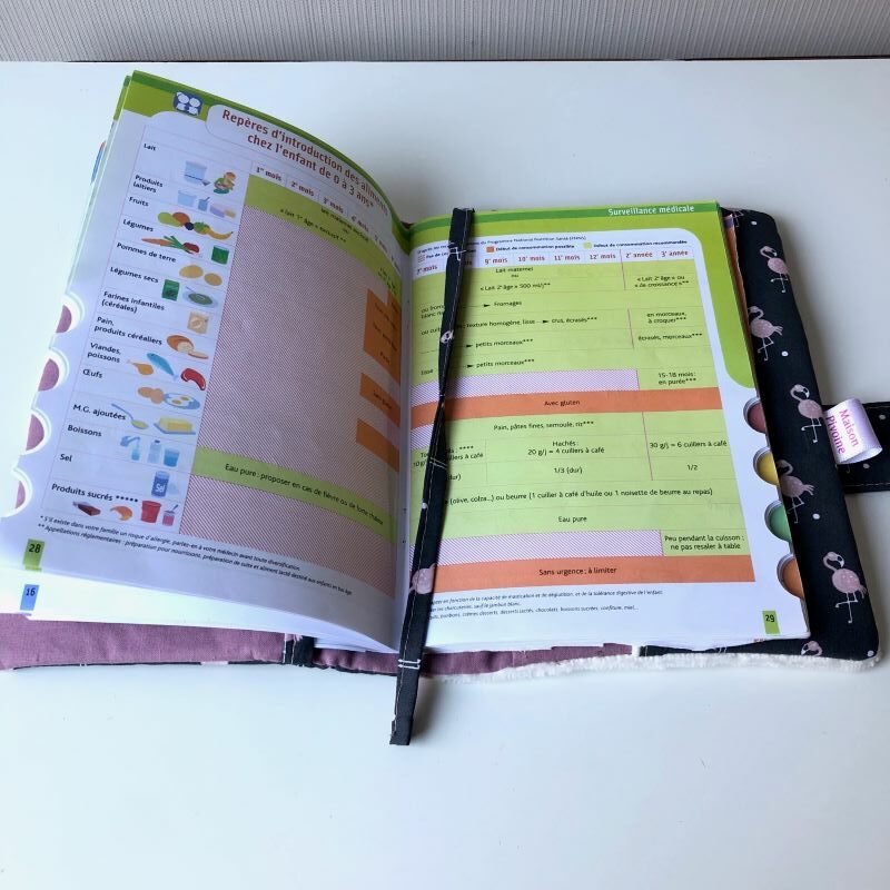 Protège carnet de santé avec la carnet